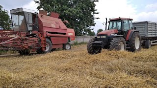 Bizon Gigant. Nareszcie to jest to na co liczyłem!