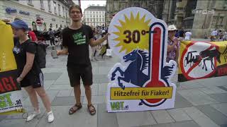 Politiker setzen sich für Fiaker ein ORF Wien heute