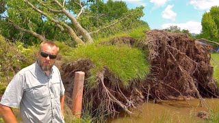 A Unique Approach to Clearing This Massive Uprooted tree