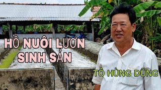 Cách xử lý hồ nuôi lươn sinh sản đẻ trứng đạt hiệu quả