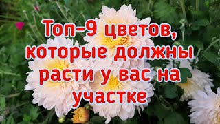 Мои помощники  Растения, помогающие бороться с вредителями и болезнями