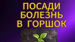 ПОСАДИ БОЛЕЗНЬ В ГОРШОК