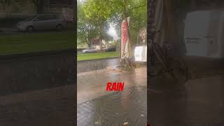 Rain