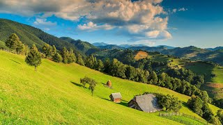 Paula Rad - Pentru ea la Putna clopot bate ( cover Ion Aldea Teodorovici)