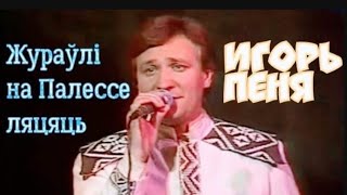 "Журавли на Полесье летят" 1983' "Песняры"