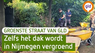 De Groenste Straat van Gelderland - Trainingshuis Jupiter Nijmegen