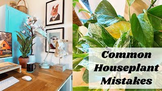 Houseplant Mistakes I've Made | Tips to Keep Your Houseplants Alive and HAPPY