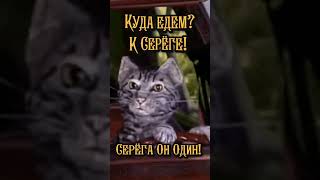 КУДА ЕДЕМ? К СЕРЁГЕ! СЕРЁГА ОН ОДИН