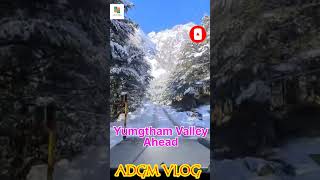 Yumgtham valley Ahead @ADGMVLOG21 #shorts #shortvideo #youtubeshorts #viral #sikkim #travel