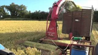 JF FCT 1050 Cutting Wholecrop Silage @ Marlinstown Farm (2015)