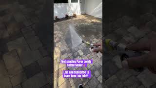 Paver Sealing #pressurewashing #paversealing #diy #pavers #entrepreneur #fypシ  #fyp  #home