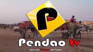 Reportage Pendao TV à Ndiayene-Pendao:Insécurité dans le village,plus grand dépôt d'oignons du Fouta