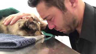 A young man cries over a cat that lived with him for 13 years, and today she is dying to die