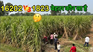 16202 Vs 18231 दोनों में बेहतर कौन सा है ! जाने #kisanadda