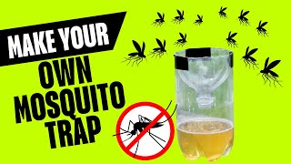 How to Make DIY Mosquito Trap Easily