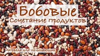 Бобовые. Сочетание продуктов. Аюрведа для начинающих.