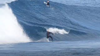 SURFING MUTANT WEDGES - Slippery Surfa