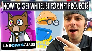 How To Get The Most Hype NFT Whitelist, Market Analysis & Strategy