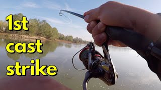 ASP FISHING - STRIKE AT THE FIRST CAST! - Aspio a spinning sul fiume Po