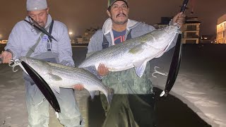 2gunda parte de el enorme cardumen con miles de peces y muy grandes striped pesca