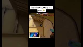 Csgo hitboxes.. #shorts #short #memes #meme #csgo