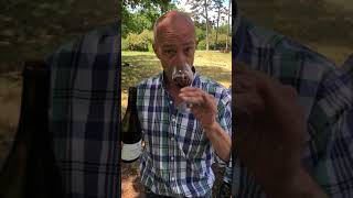 How to Properly Taste Wine