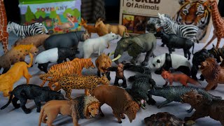 wild farm animals+ entertainment 13+ dinosaur cow camel lion elephant dog deer cat +++. Animals Demo