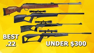 Top 5 BEST .22 Air Rifle Under $300 - Best Break Barrel Air rifle