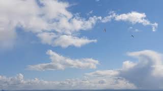 Cloud Lapse