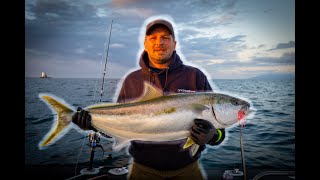 First Fishing Trip on 650 OFFSHOREBOAT NZ