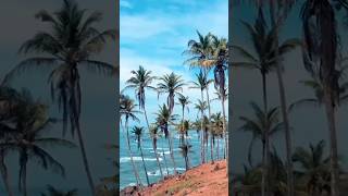 Pantai Dalawella Srilanka #shorts