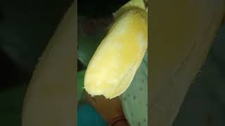 Jab bi banana 🍌  khaye toh Dhyan se khaye  #subscribe#comment  krke jarur btana ki kya dikha  🍌  mai