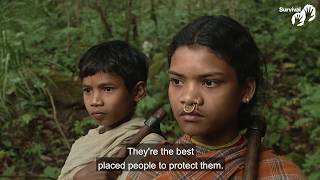 Tribal peoples' lives across India are destroyed by conservation