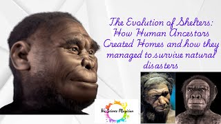 The Evolution of Shelters: How Human Ancestors Created Homes and survived natural disasters #facts