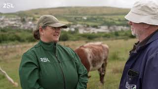 Farmer-led badger vaccination revolutionising mission to tackle bovine TB