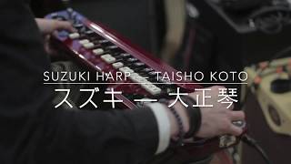 大正琴（たいしょうごと) Sick Suzuki Taisho Koto awesome electric harp