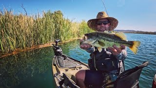 Big Bass Fishing (Parker, AZ)