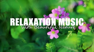 8 Hours of Relaxation Music For Relaxation, Stress Relief, Sleep , Meditation, and Study.