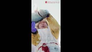 Amazing China in 60 Seconds - Heilongjiang