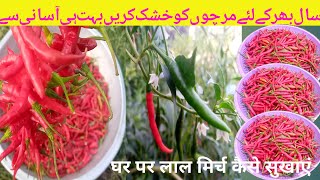 DIY Red Chillies Drying: Simple Tips for Home Preservation|Village Garden