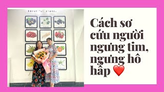 Cách sơ cứu người ngưng hô hấp, ngưng tim và ngưng thở