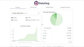 DataHog: Analyze How Your Storage Space Is Being Used