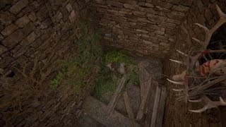 Assassin's Creed® Valhalla glitch death