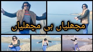 Fish only fish in mangla daam