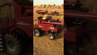 #case#combine #corn #harvest