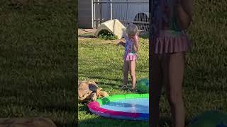 The Tortoise and her splash pad. #tortoise #sulcata #splashpad