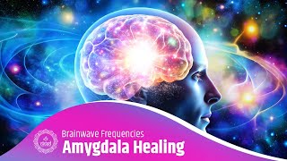 Amygdala Healing Frequencies | Brainwave Frequencies for Amygdala Healing | Panic Attack Cure