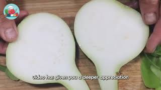 Cooking Process - How Farmers Harvest Bottle Gourd  Bottle Gourd Cultivation and Farming