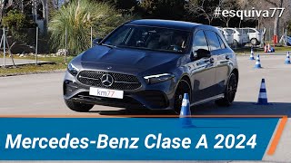 Mercedes-Benz Clase A 250 e (2024) - Maniobra de esquiva  (moose test) y eslalon | km77.com