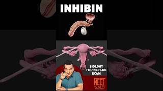 Inhibin Hormone | Human reproductive system | Class 12th | NEET Biology | #neet #science #biology